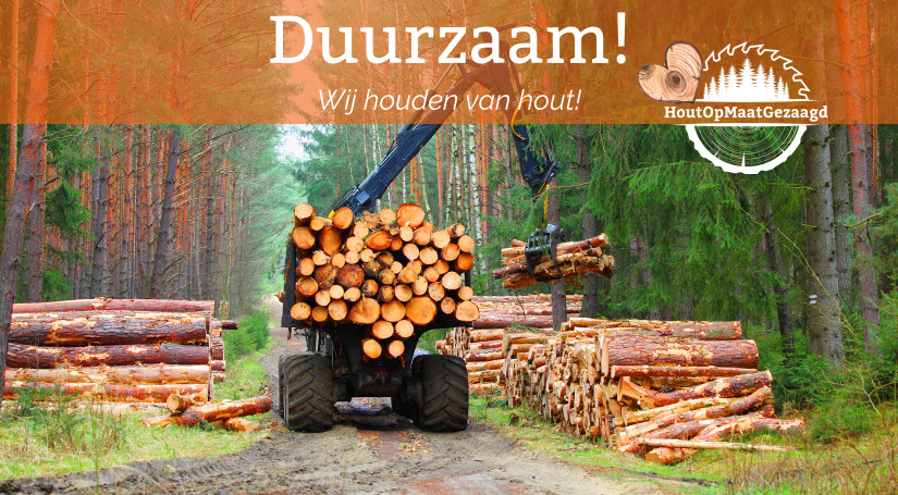 Mening beproeving lancering Is hout duurzaam? - HoutOpMaatGezaagd.nl